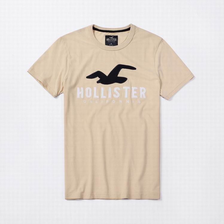 Hollister Men's T-shirts 212